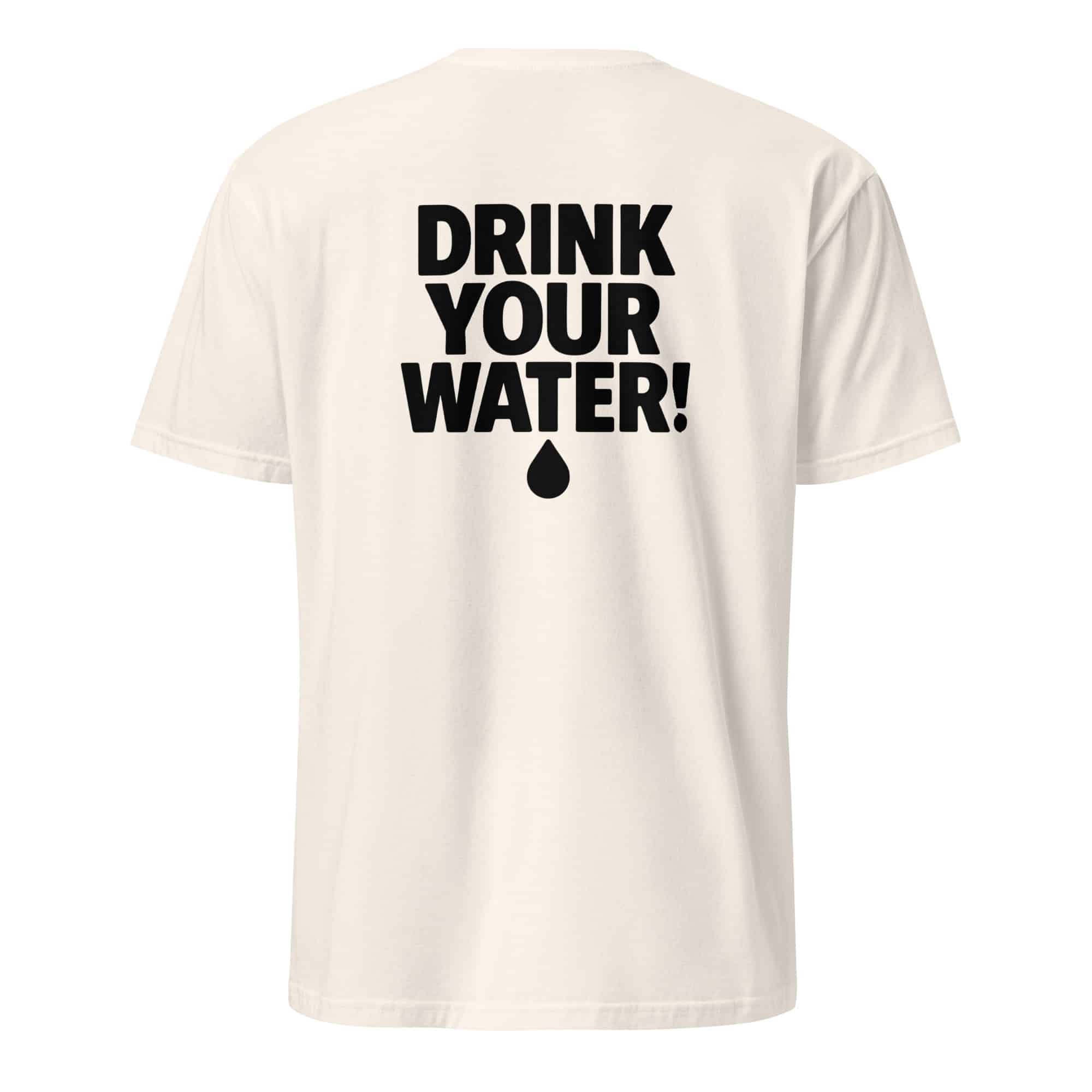 unisex-basic-softstyle-t-shirt-natural-back-6899f618c0749.jpg